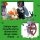 LEGO MINECRAFT 21586 Blady ogród - 1473419 - zdjęcie 10